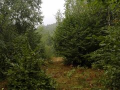Hunedoara Masivul Retezat